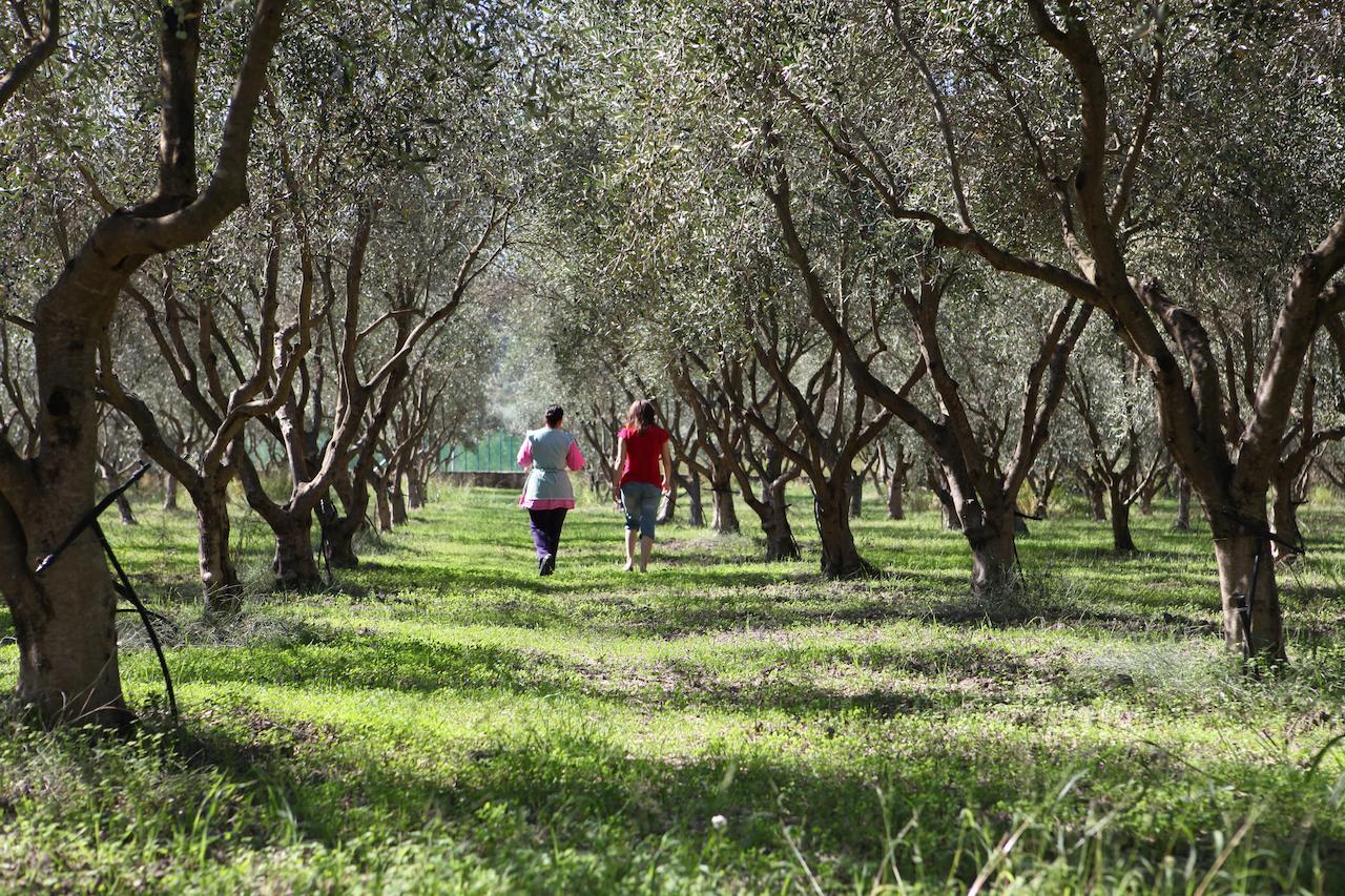 Agriturismo A'Sena-Runcatini Cimina Экстерьер фото